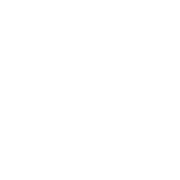 Decentralized Application Development